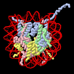 Nucleosome sq